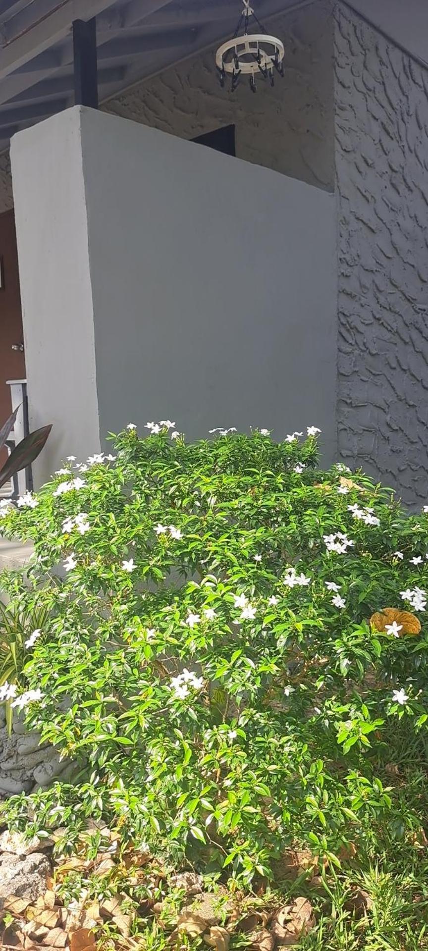 Siam Flora Resort Ko Lanta Exterior foto