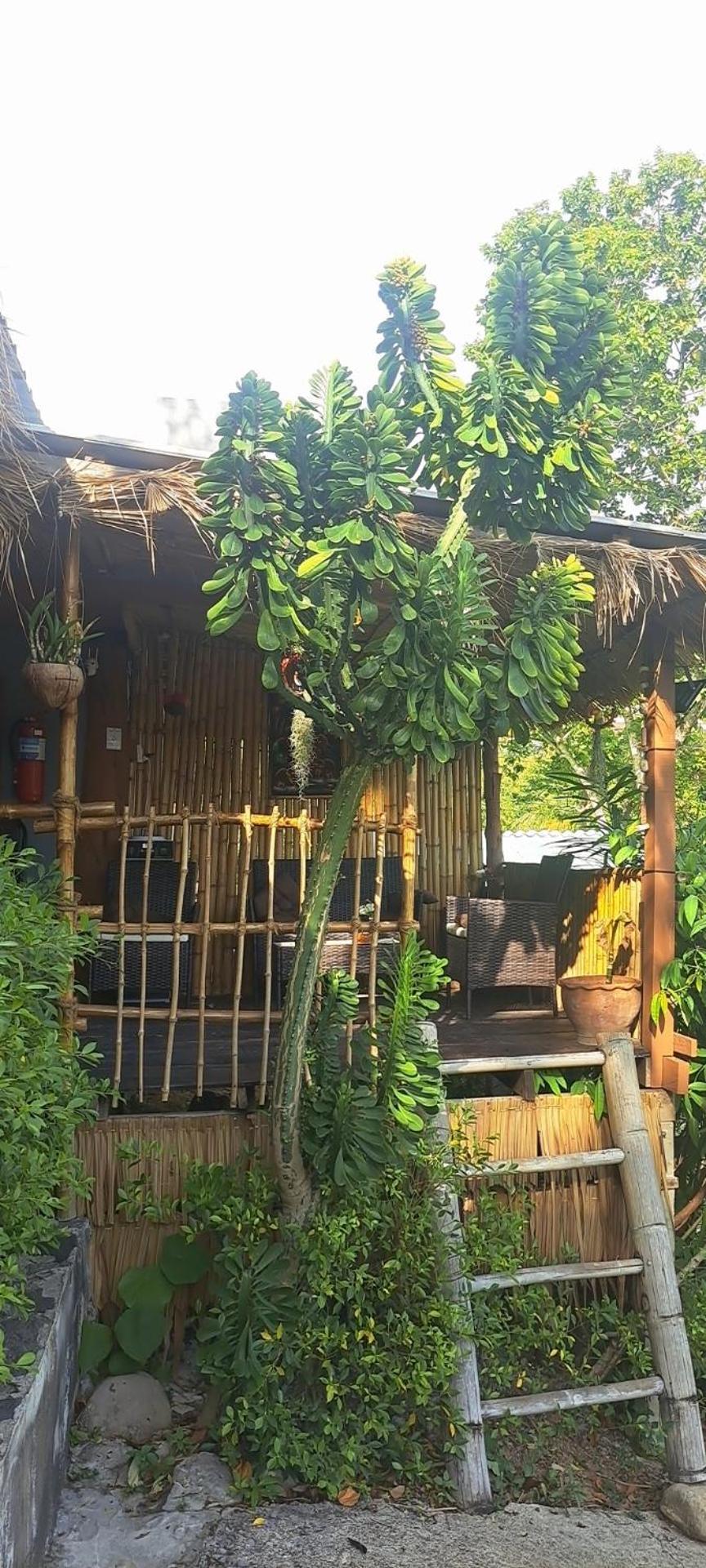 Siam Flora Resort Ko Lanta Habitación foto